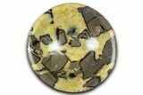 Eye-Eatching Polished Septarian Dish - Madagascar #371709-1